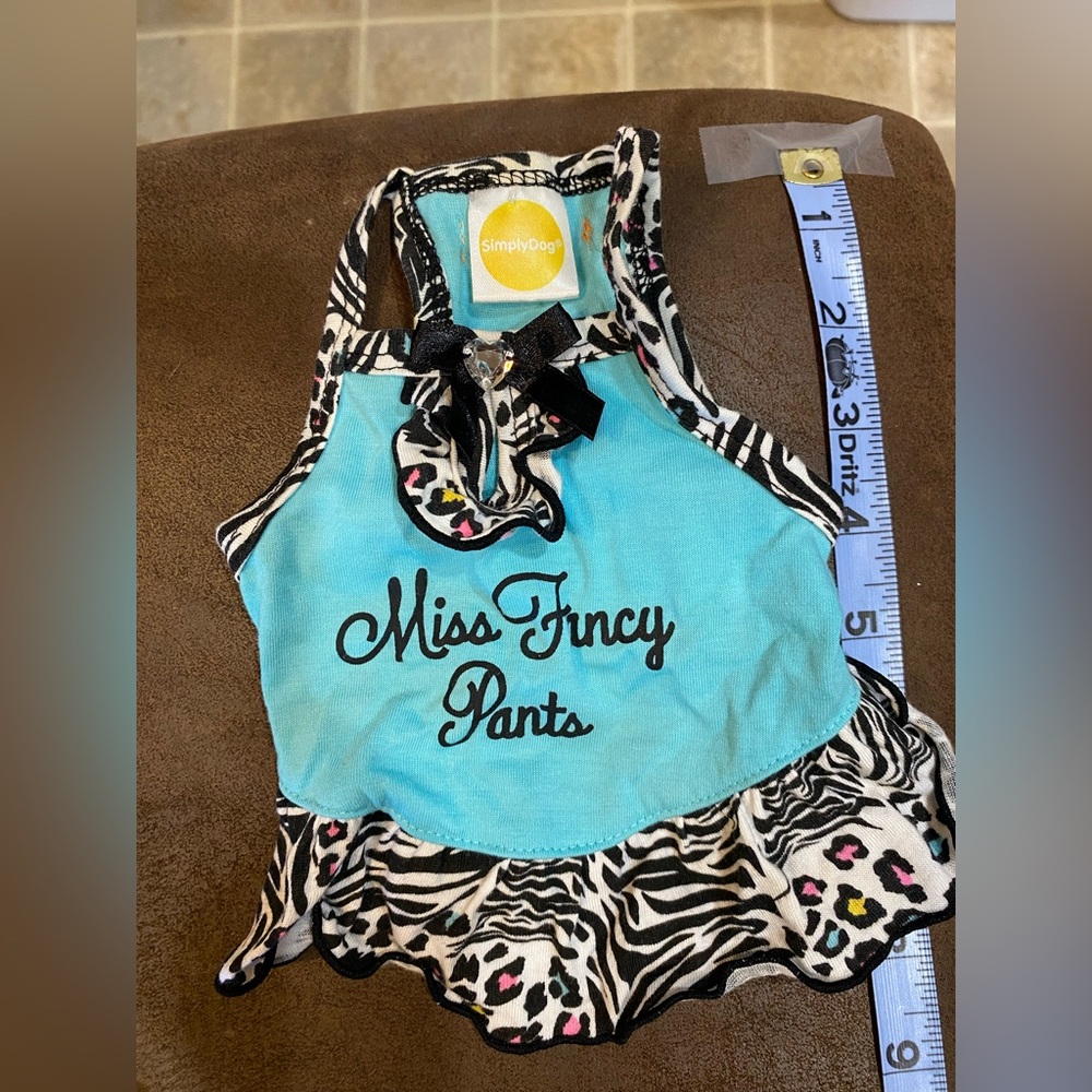 Blue and Zebra Print Dog Dress